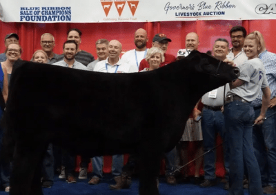 Grand Champion steer nets $47,500 at Governor’s Blue Ribbon Livestock Auction