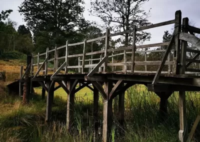 Bridge from ‘Winnie-the-pooh’ series auctioned for $179,167 in UK