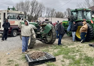 Farm auctions are moving online